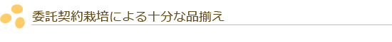 委託契約栽培による十分な品揃え